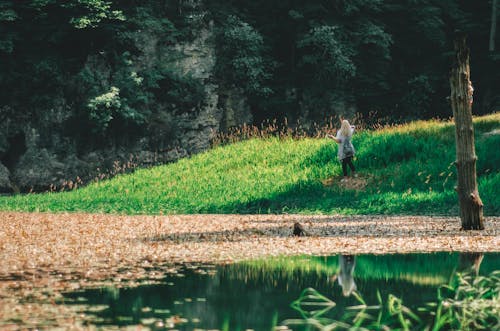 Free stock photo of fallen leaves, girl, lake