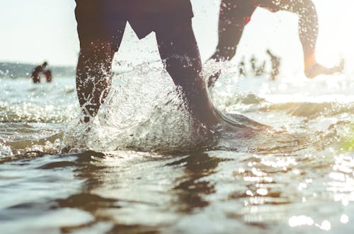 Free stock photo of beach, running, water