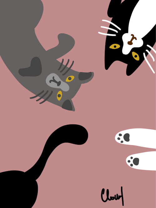 Free stock photo of art, black cat, cats