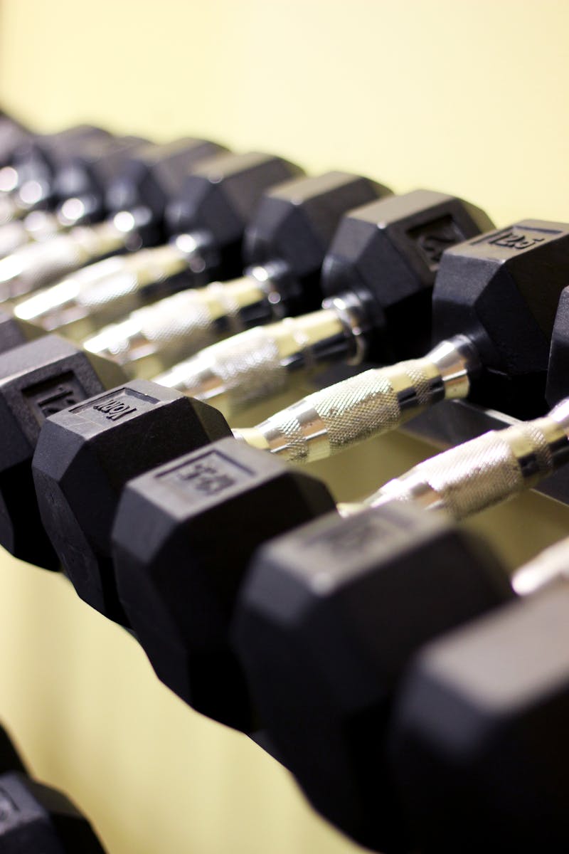 Row of dumbbells on a rack inside a modern gym with mirrors and weight training equipment
