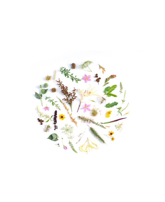 Create nature art from leaves and flowers