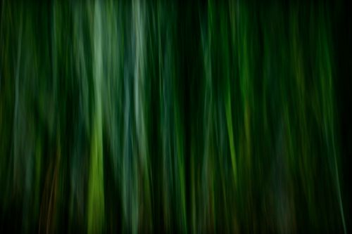 Free Ethereal abstract image with green vertical stripes resembling a blurred forest perspective. Stock Photo