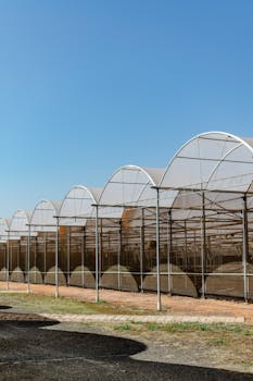 A row of modern, eco-friendly greenhouses with transparent roofs on a sunny day.