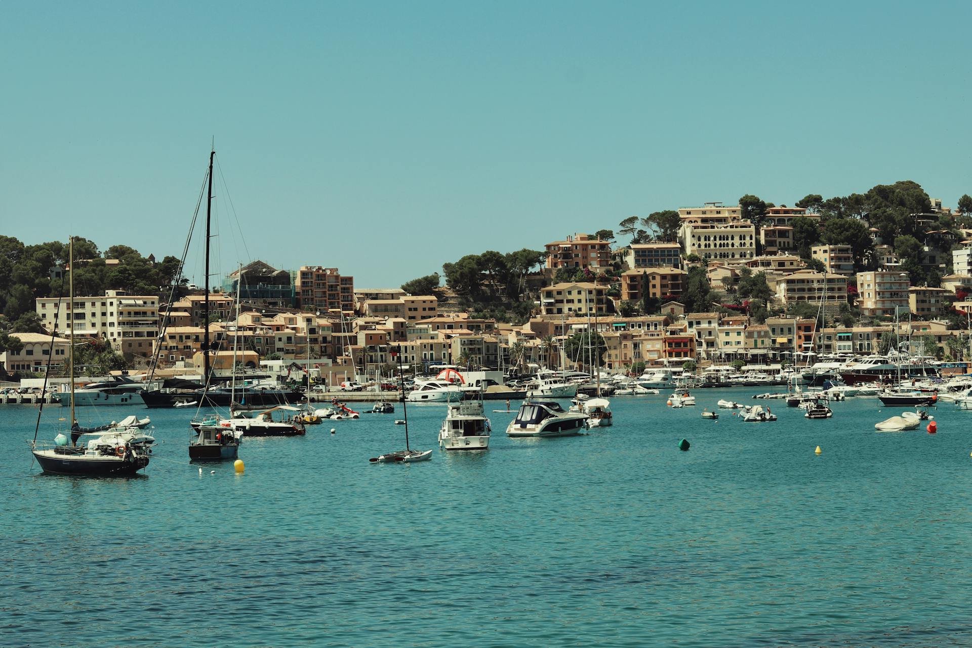 Photo of Sail Boats on Harbor