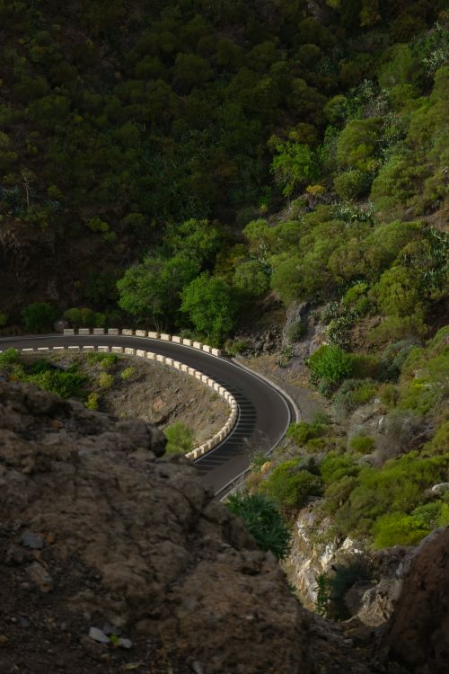 Free A winding mountain road curves through a lush green forest, offering a breathtaking natural view. Stock Photo