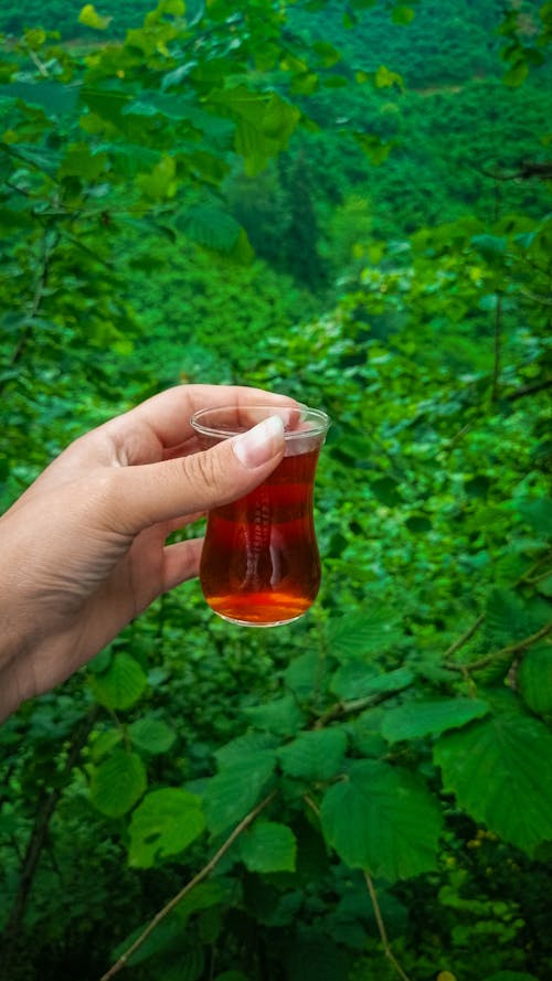 Çay, Çay bardağı, çay tutmak içeren Ücretsiz stok fotoğraf