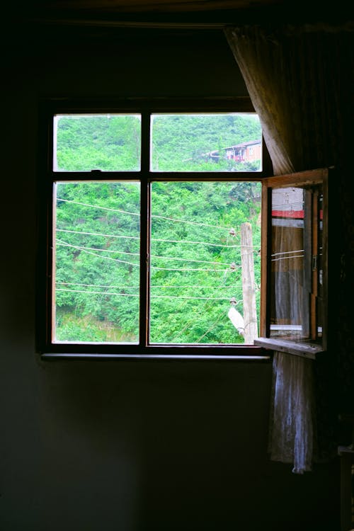 Fotobanka s bezplatnými fotkami na tému drevené okná, okno, open-window