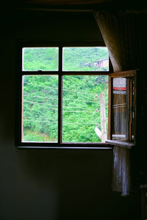 Darmowe zdjęcie z galerii z okna drewniane, okno, otwórz okno