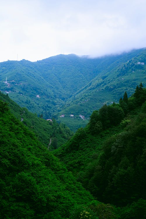 산의 경치, 트라 브존, 풍경의 무료 스톡 사진