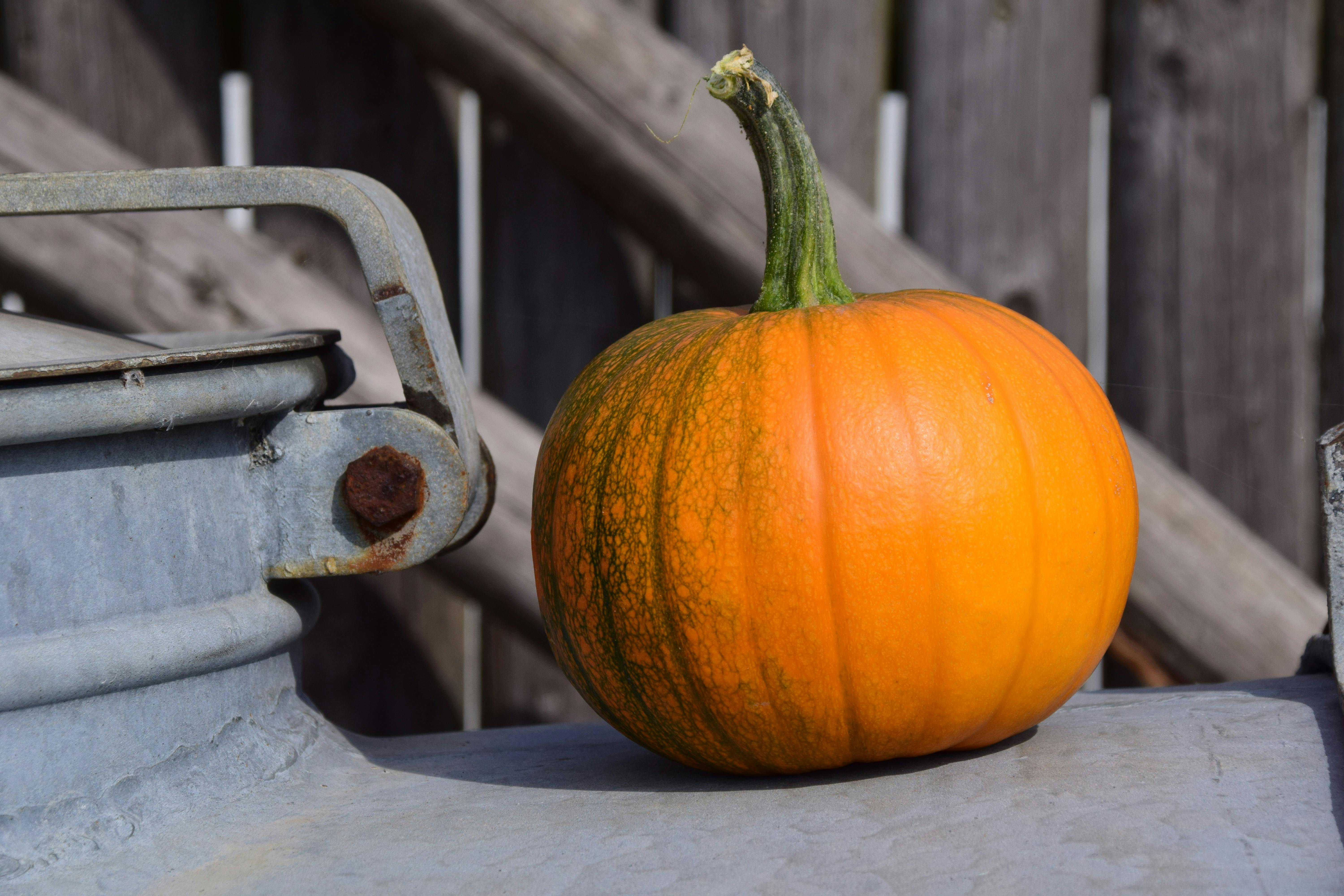 Free Orange Pumpkin Stock Photo