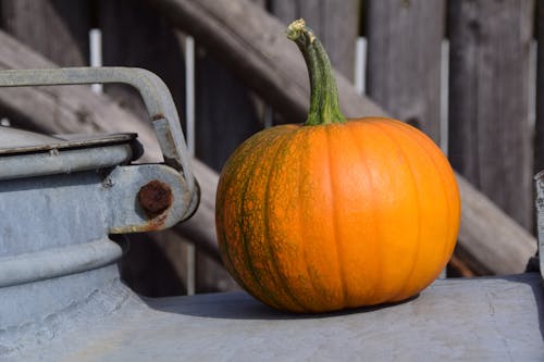 Citrouille Orange