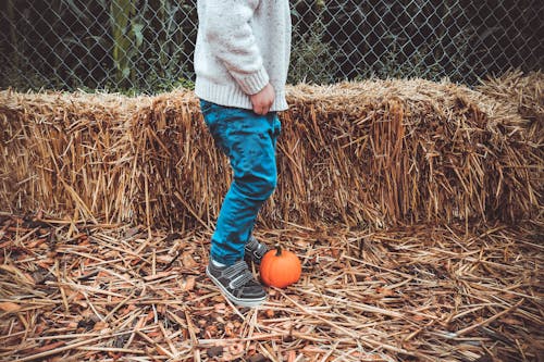 Person Standing Beside Pumpkin