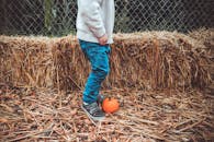 一个年幼的孩子站在稻草上，拿着小南瓜，展现出一派舒适的乡村秋景