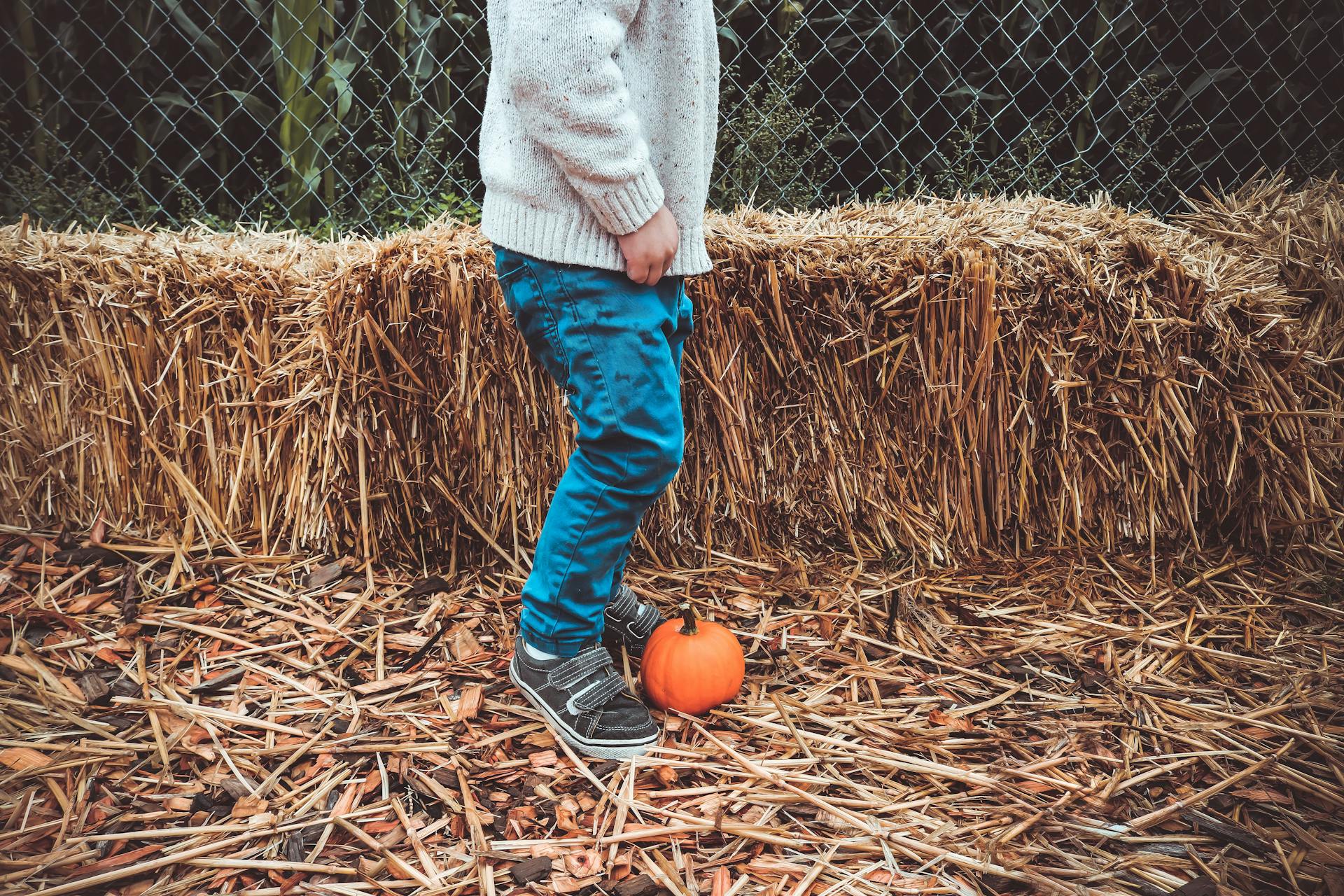 Person Standing Beside Pumpkin