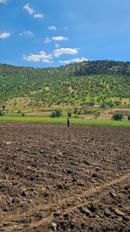 A farmer standing on the farm