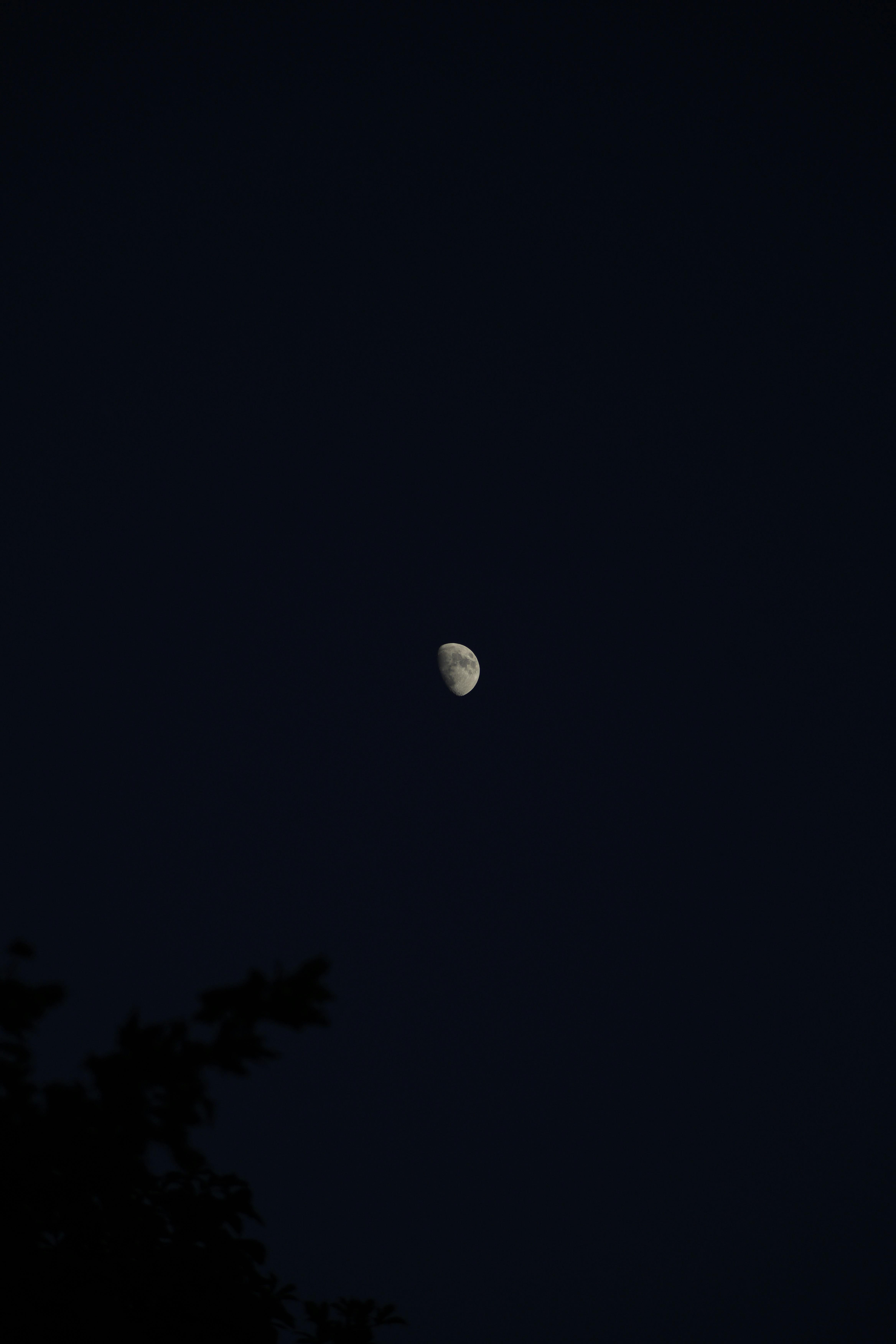 A serene half moon in a dark night sky, perfect for lunar enthusiasts.