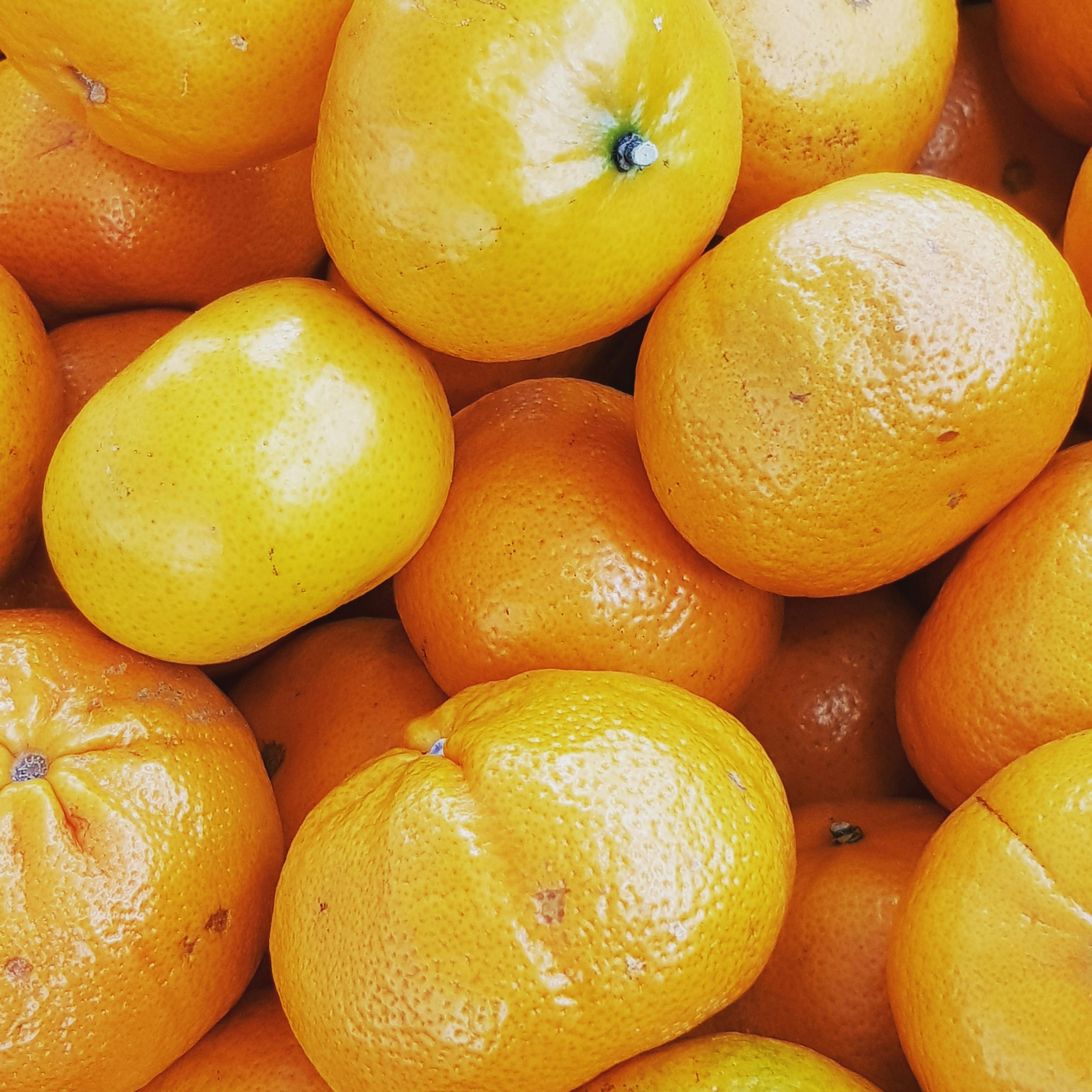 CloseUp Photo of Tangerines · Free Stock Photo
