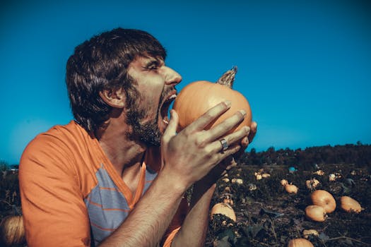 Free stock photo of landscape, man, person, hands