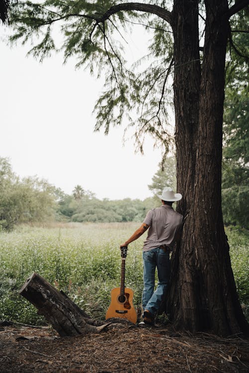 Foto d'estoc gratuïta de arbres, barret, bosc