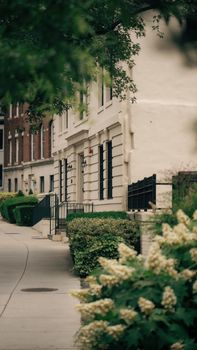 A serene urban sidewalk lined with flowers and a classic white building.
