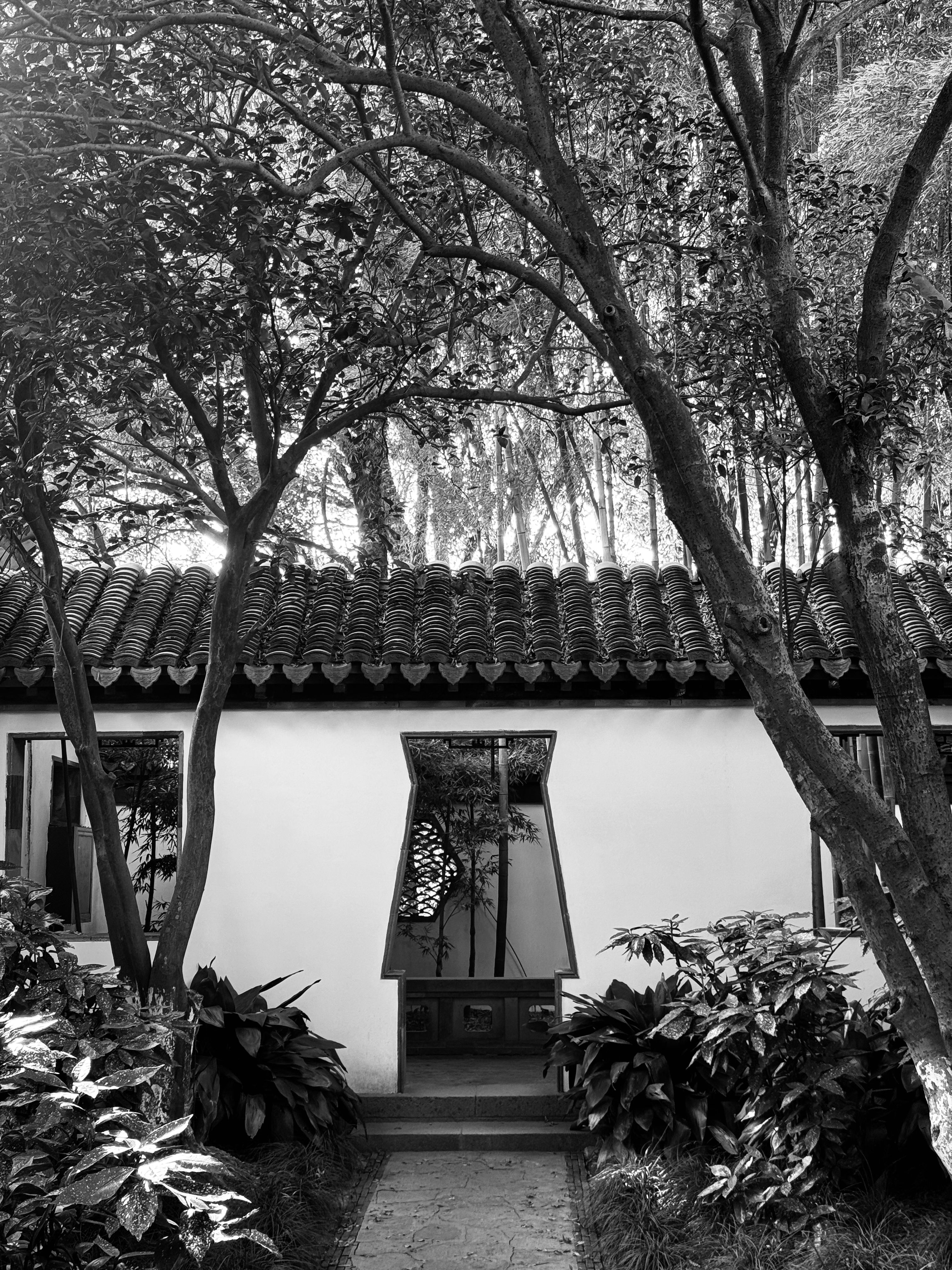 Black and White Photo of a Building between Trees in a Park · Free ...