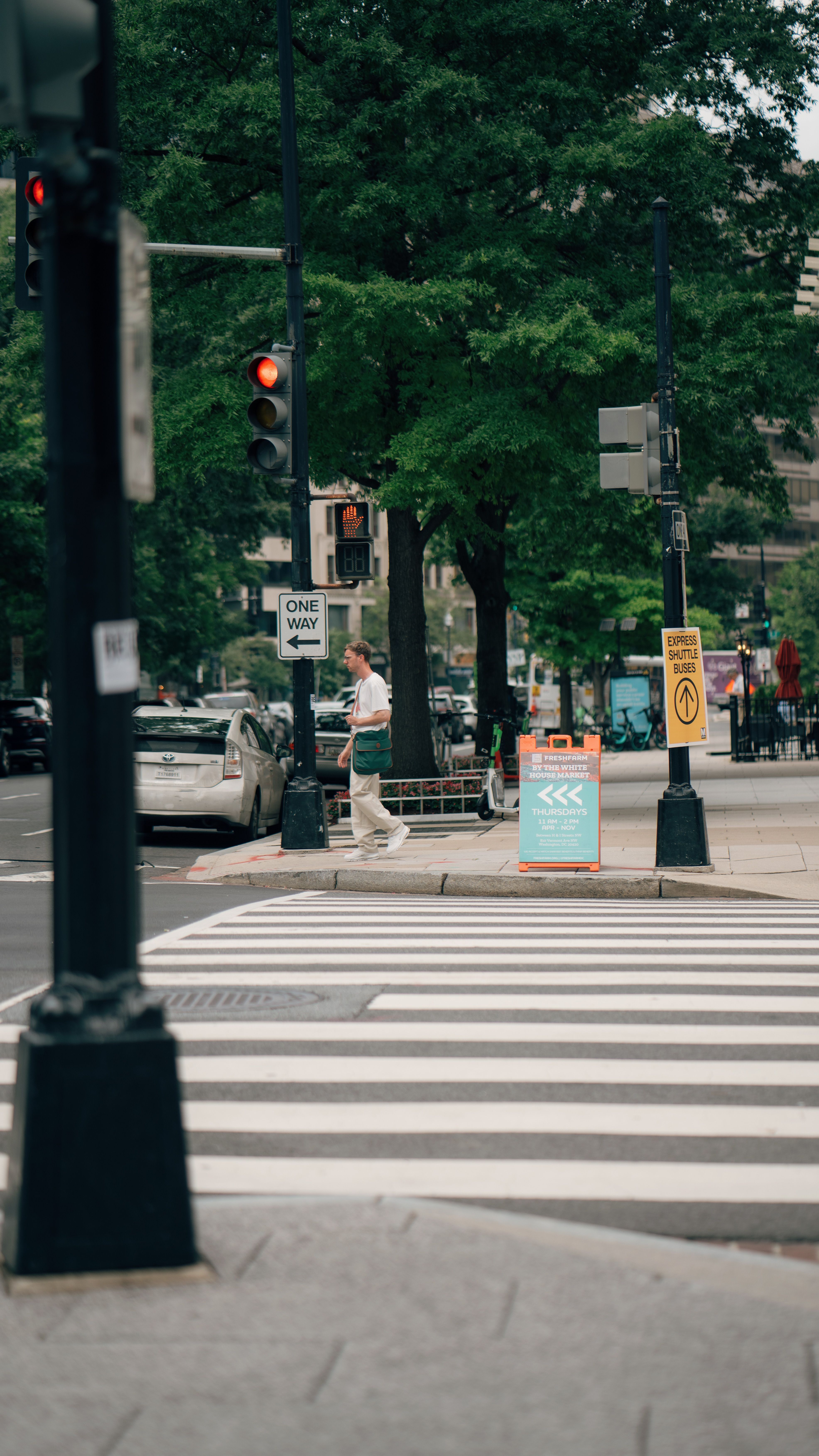 Busy city street intersection with pedestrian, crosswalk, and traffic signals on a summer day.