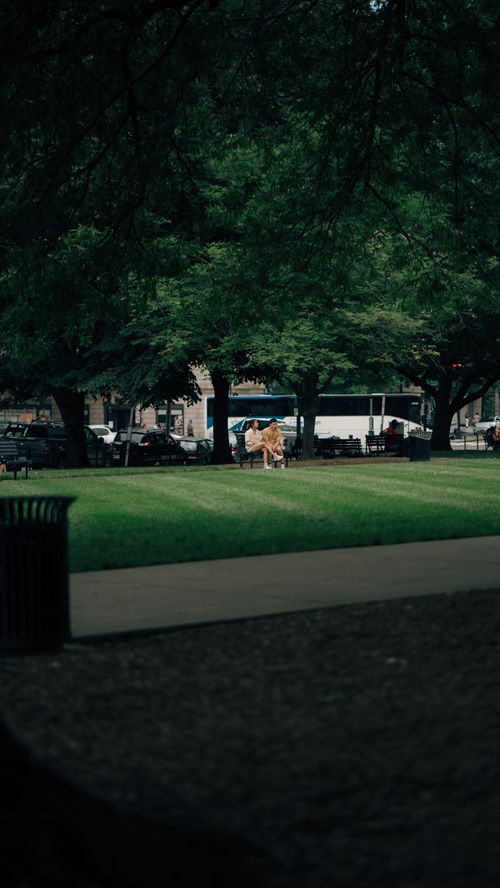 Free A tranquil scene in a lush park with people enjoying a summer day under the shade of trees. Stock Photo
