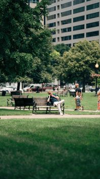 People relaxing and walking in a green urban park surrounded by trees.