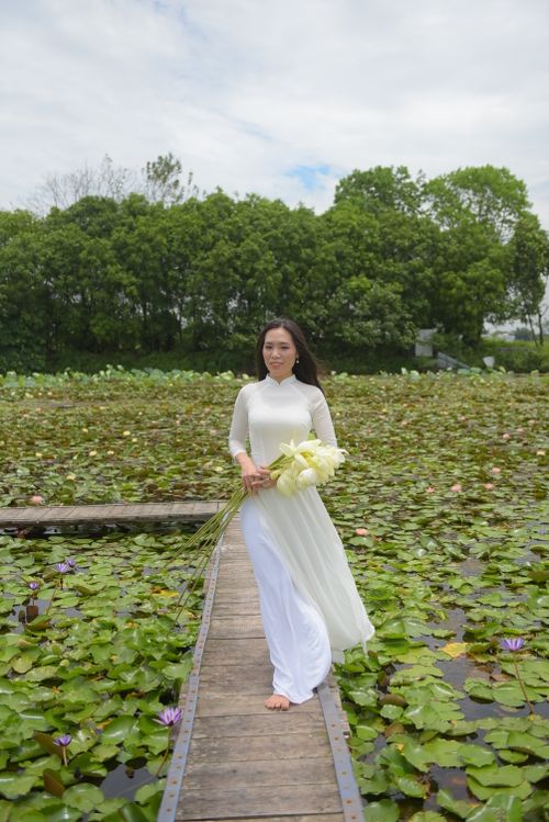 Free An elegant Asian woman in a white ao dai walking on a boardwalk across a lotus pond. Stock Photo
