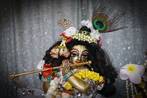 Free Colorful Krishna figurine holding a flute, adorned with flowers and ornate decorations against a shiny backdrop. Stock Photo