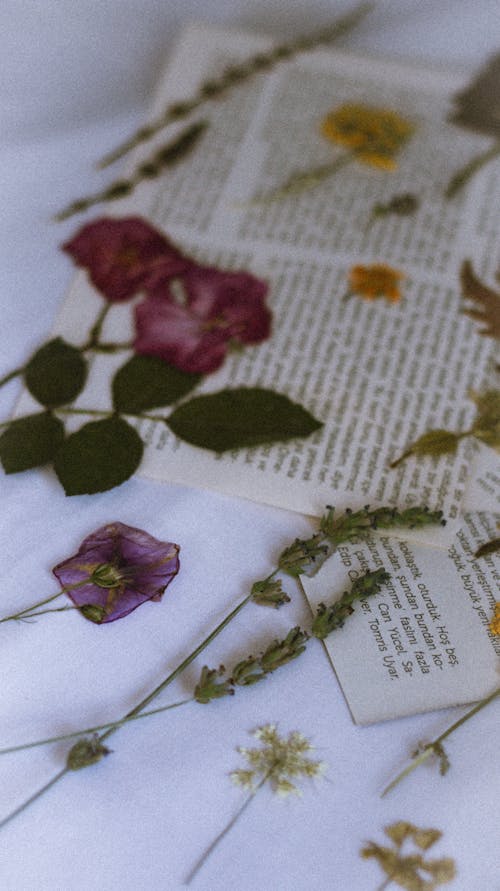 A book with flowers and dried leaves on it