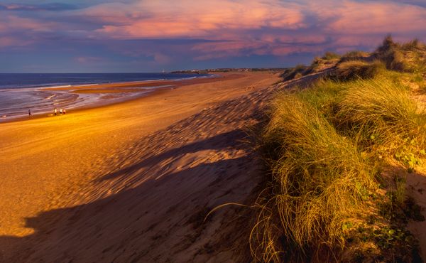 Castricum Dunes