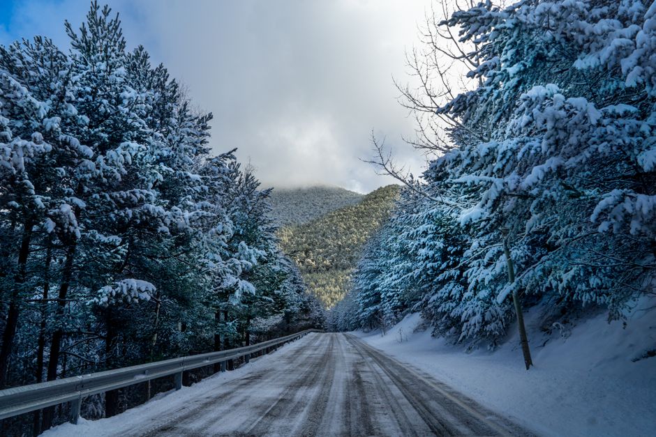 A serene snow-covered road through a tranquil winter forest in Andorra, showcasing natural beauty and tranquility.