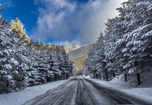 A picturesque winter road through snow-covered coniferous forest in Andorra, under a vibrant blue sky.