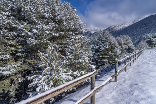 Free Serene winter landscape with snow-covered evergreens and a wooden fence in Andorra la Vella. Stock Photo