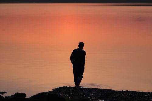 Free Peaceful silhouette of a man by the water during a tranquil sunset in Stamford, Connecticut. Stock Photo
