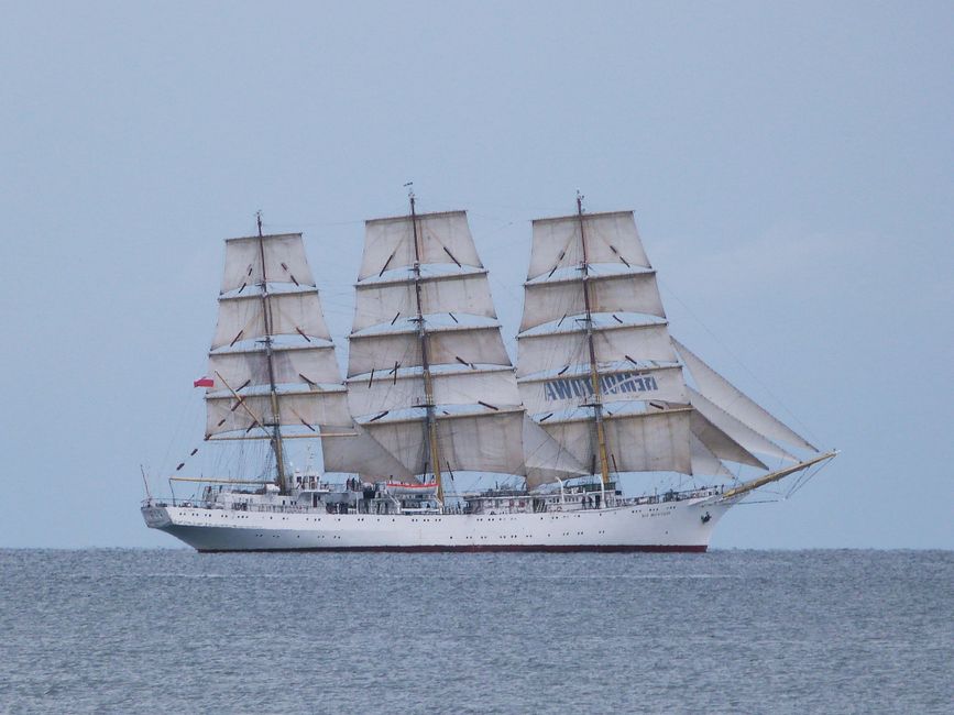 A stunning white sailing ship with full sails glides across the calm ocean under a clear blue sky.