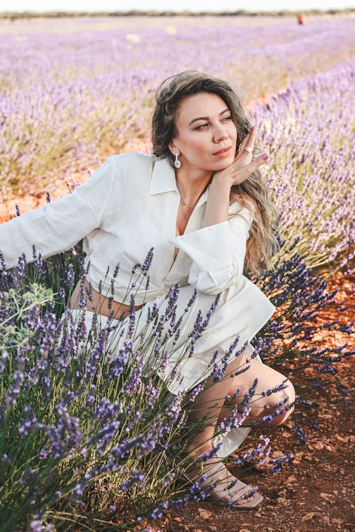 คลังภาพถ่ายฟรี ของ lavanda, กลางแจ้ง, การผ่อนคลาย