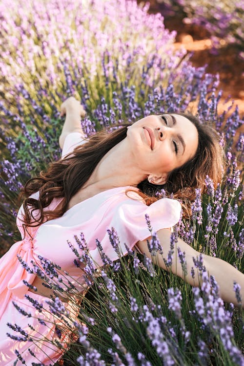 Foto profissional grátis de blosssom, lavanda