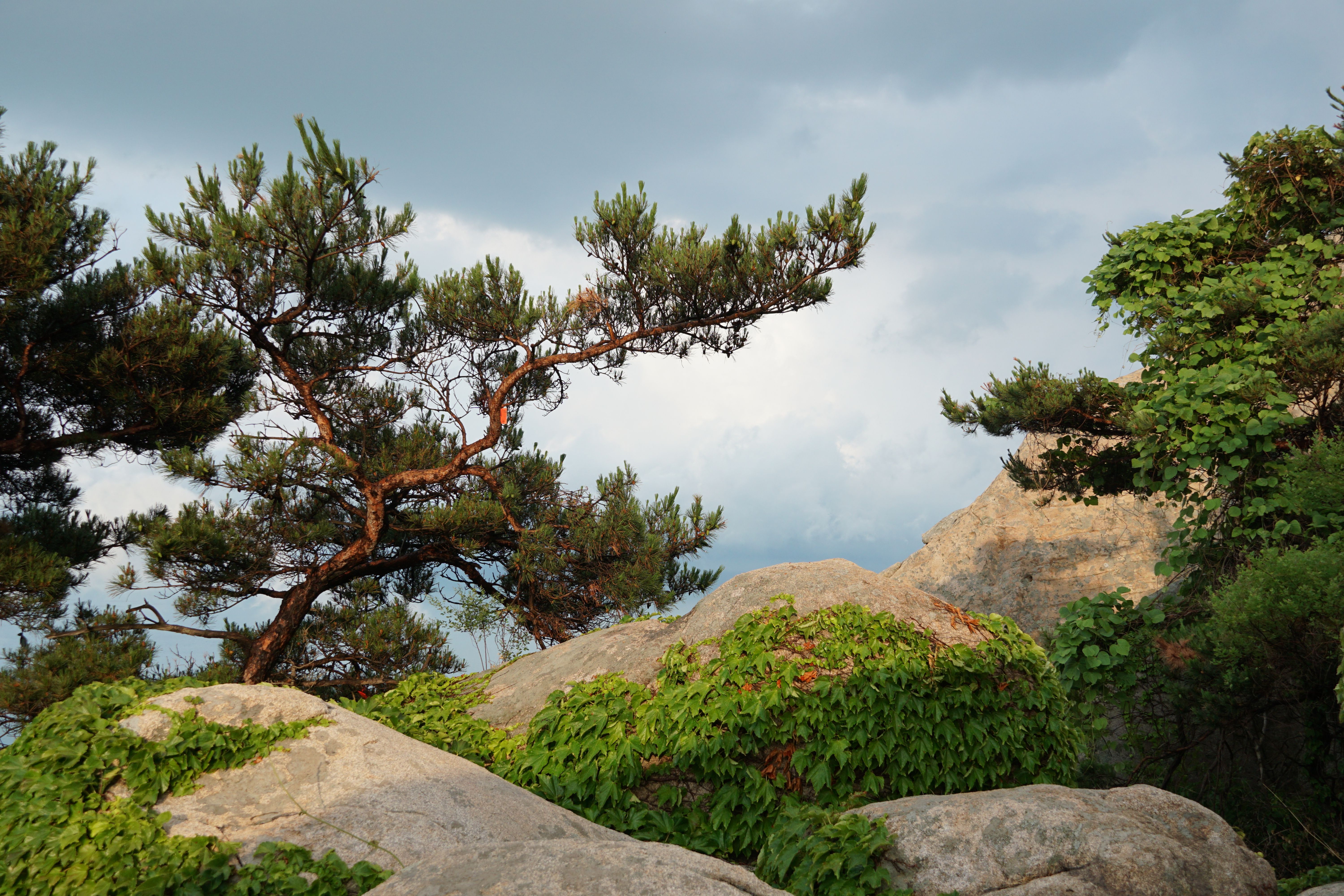 관악산 등산코스 추천