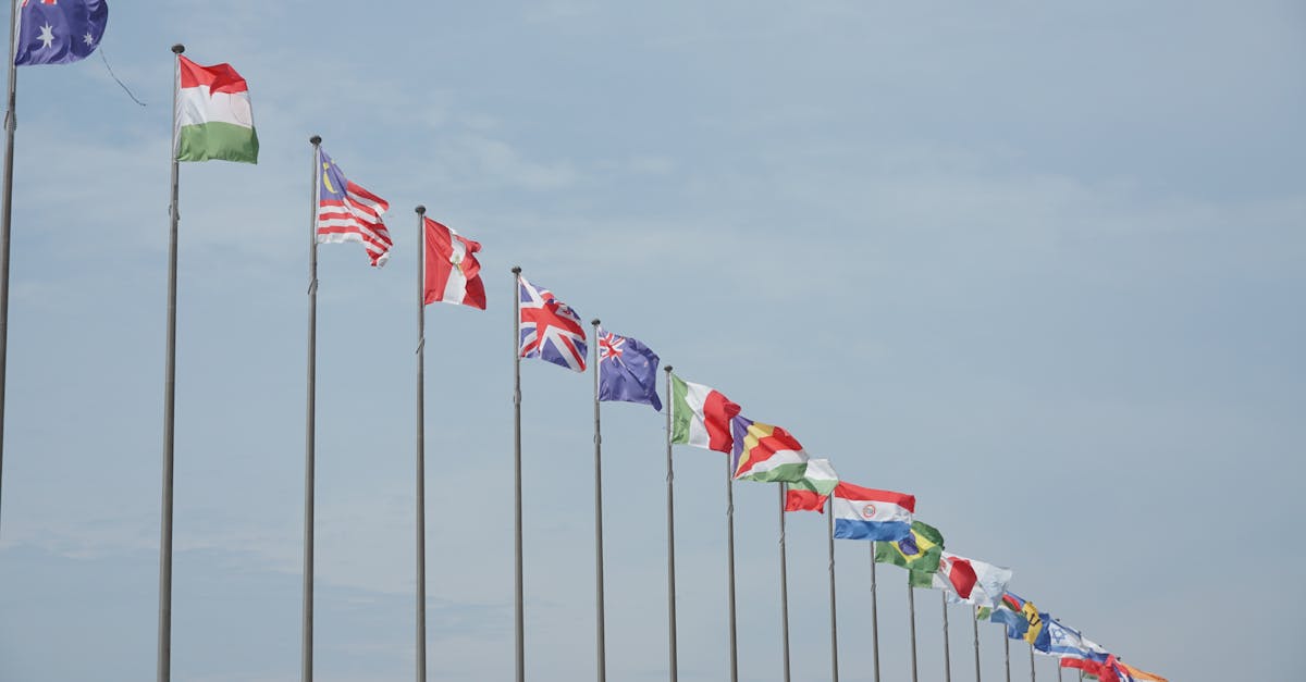 Impact des langues sur l'unité nationale