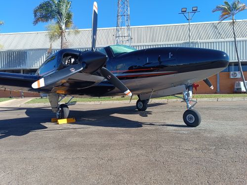 Free Beech Baron Stock Photo