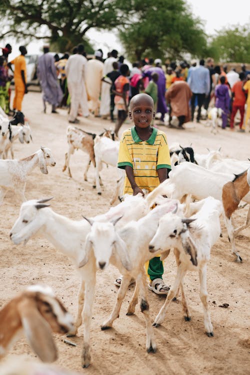 Fotobanka s bezplatnými fotkami na tému africký chlapec, chlapec, detstvo