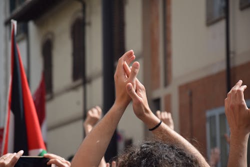 Immagine gratuita di gesti con le mani, manifestando, manifestazione