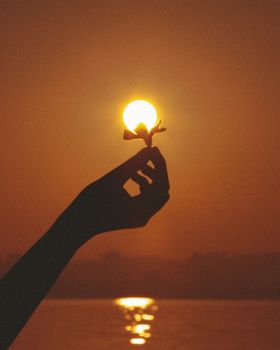 A creative silhouette of a hand holding a flower against a vibrant sunset over water.