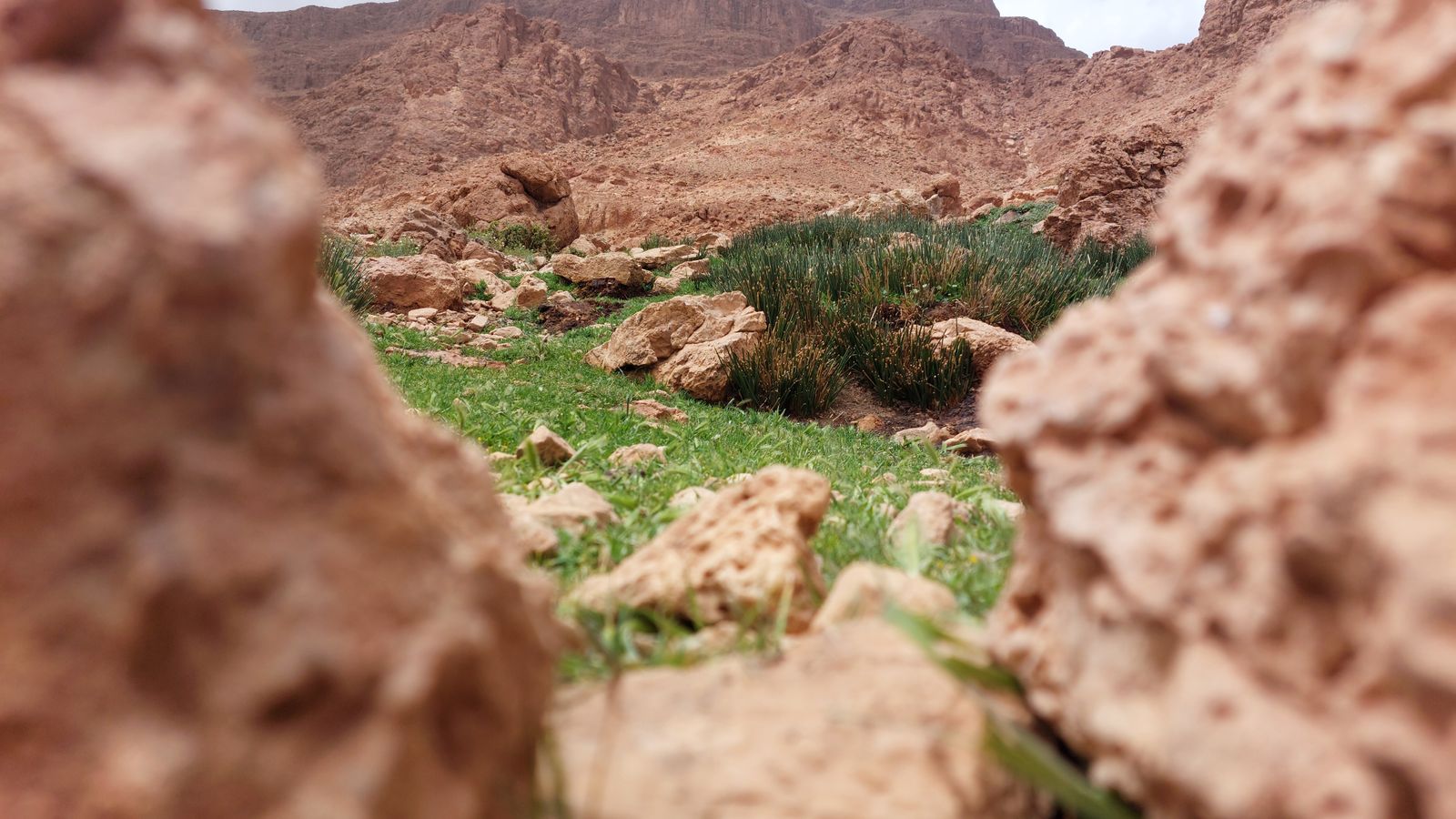 Rocky mountains and a green valley, Morocco