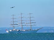 一艘帆船在晴朗的天空下优雅地航行在大海上，鸟儿在飞翔