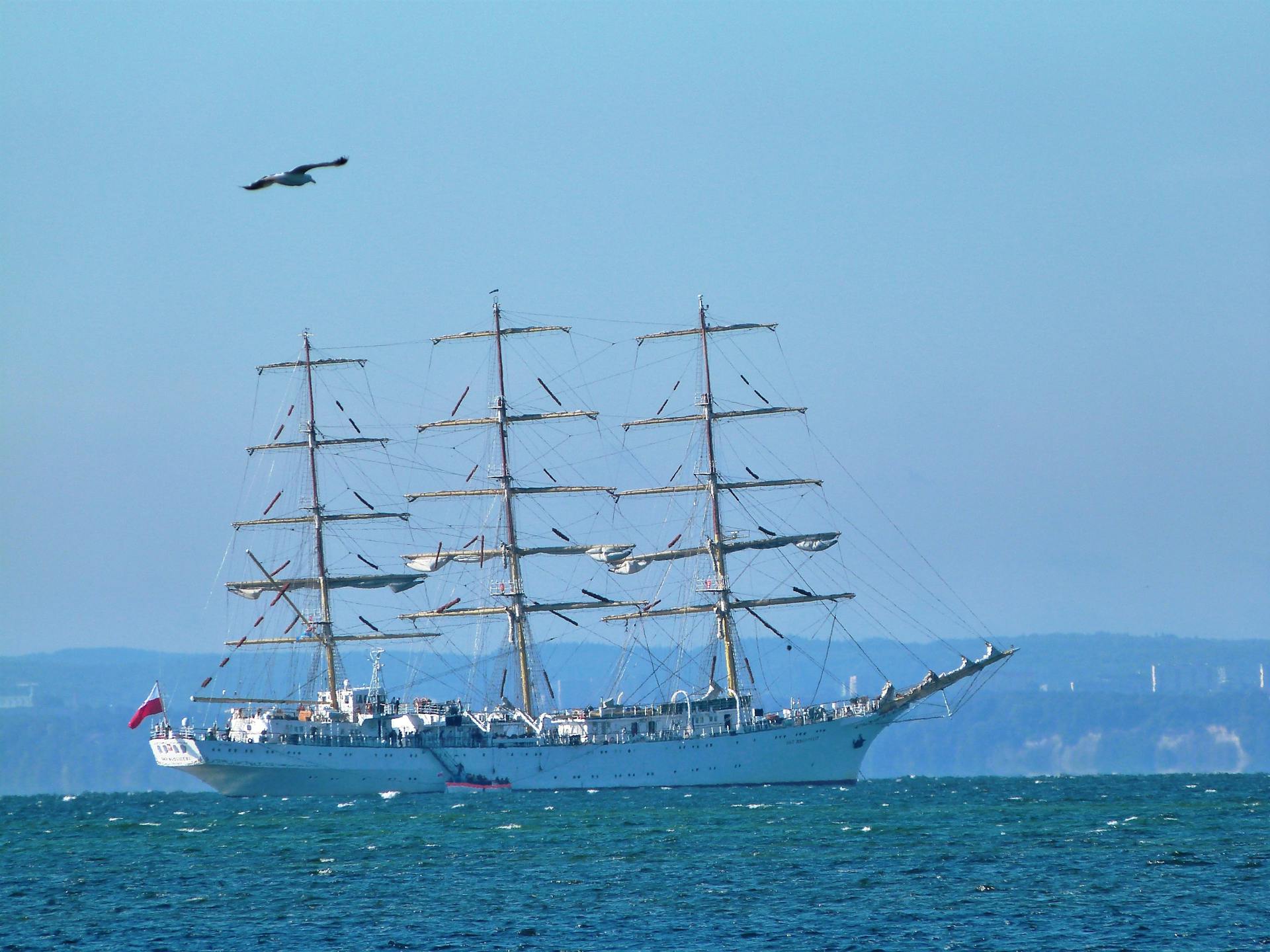 A sailing ship gracefully navigates the sea under a clear sky with a bird in flight.