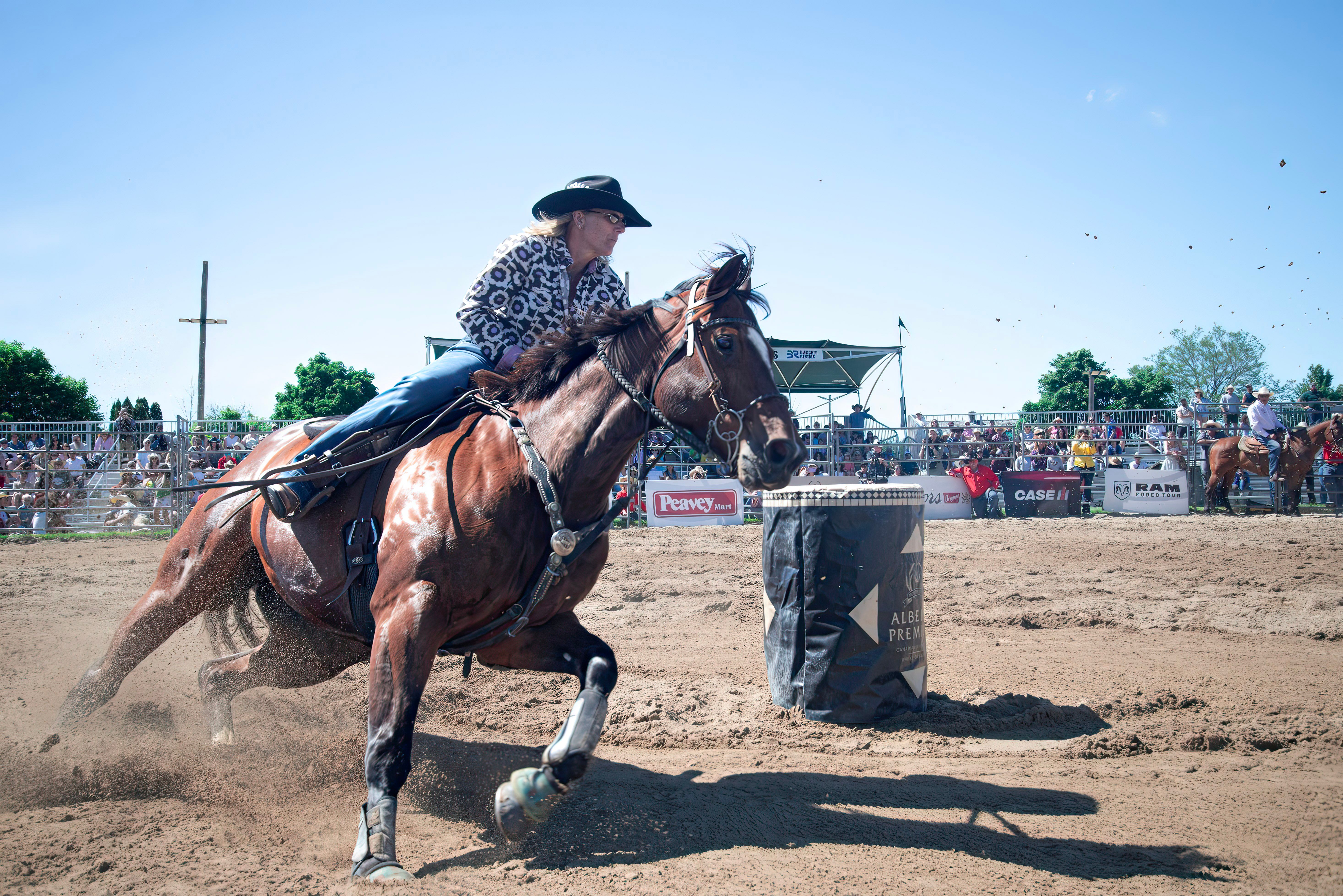 rodeo · Free Stock Photo