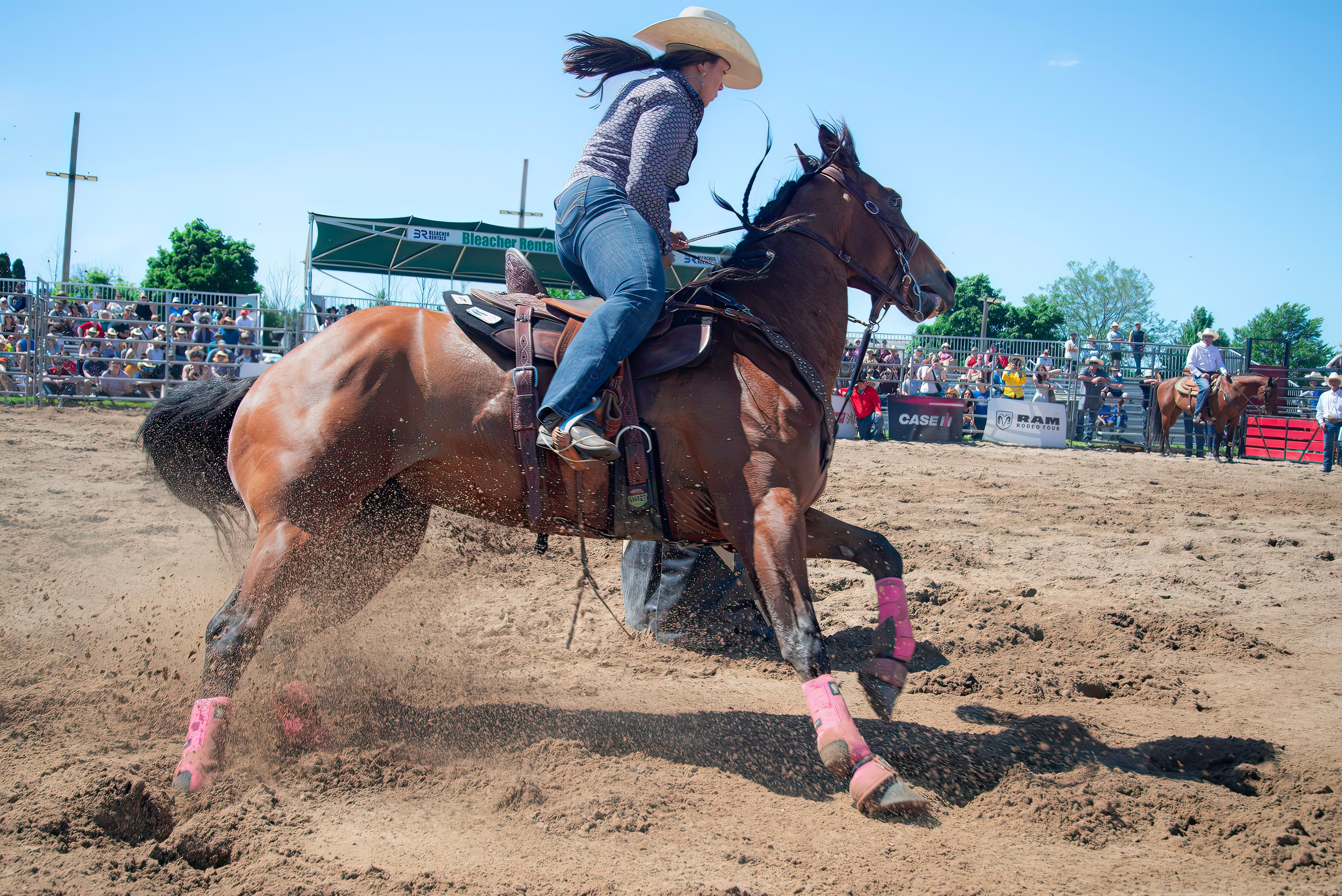 Woman Riding Horse Fast on Dirt during Tournament · Free Stock Photo
